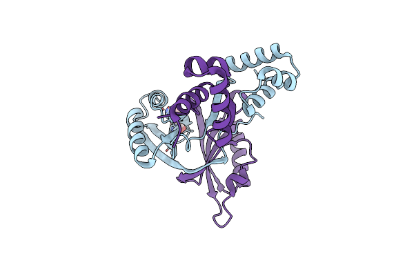 2W24 image