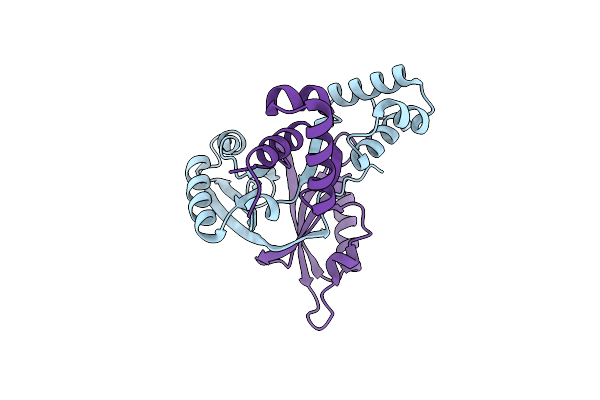 2W25 image