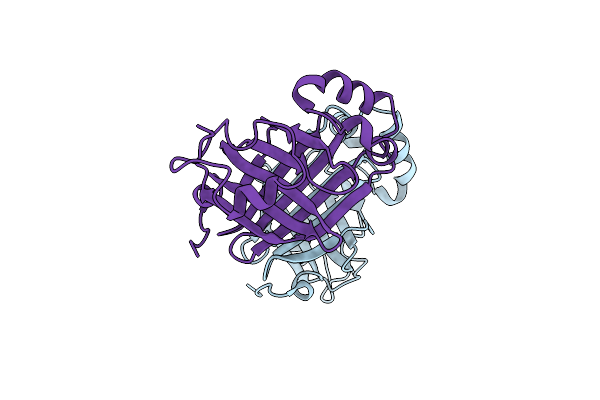 2W2A image