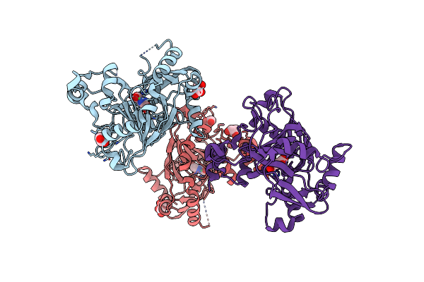 2W2I image