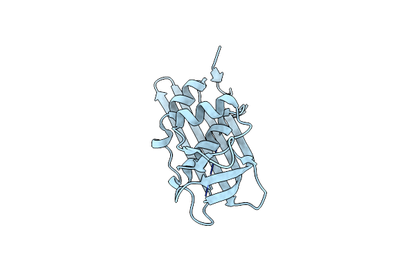 2W2S image