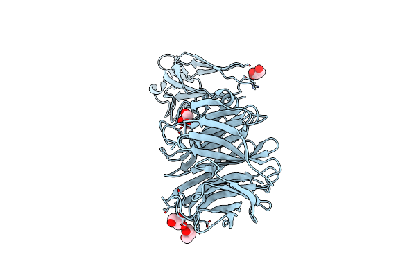 2W38 image