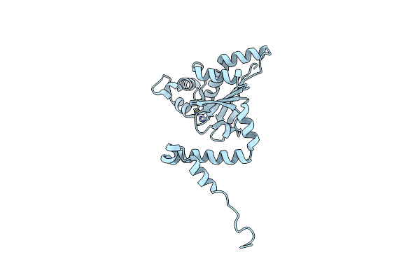 2W3Q image