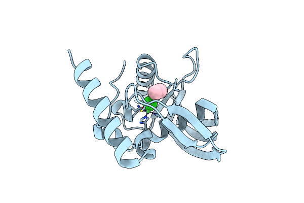 2W3T image