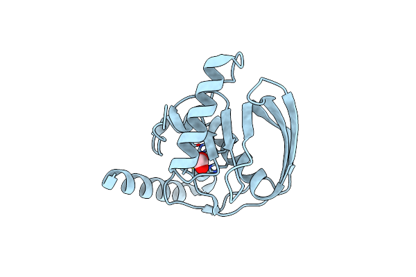2W3U image