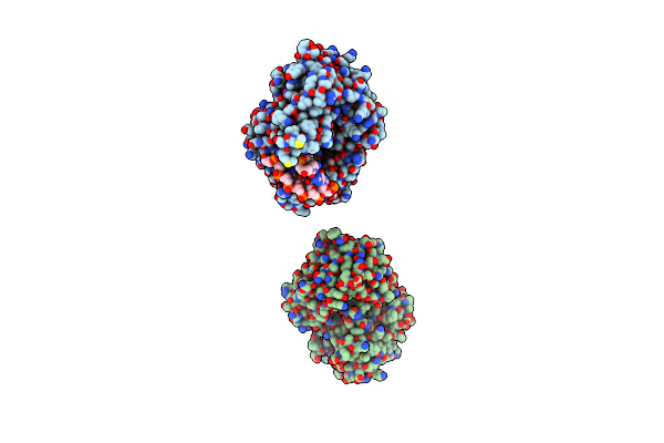2W42 image