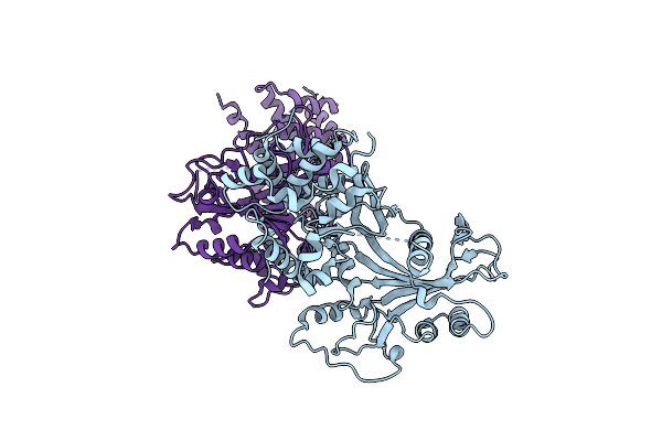 2W45 image