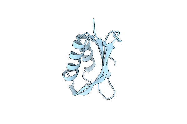 2W4C image