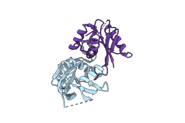 2W4E image