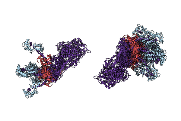 2W4G image