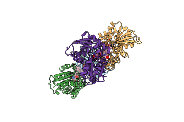 2W4I image