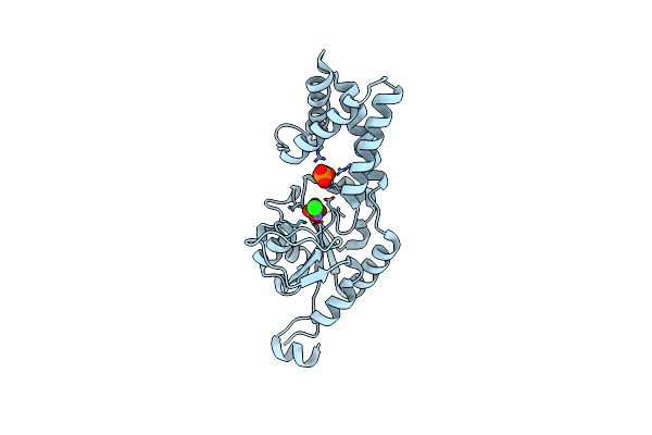 2W4M image