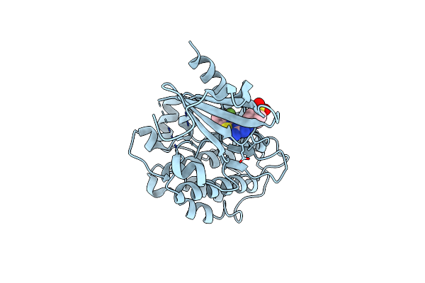 2W4O image
