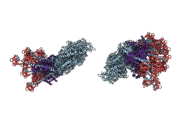 2W4V image