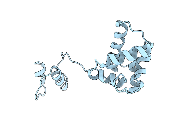 2W51 image