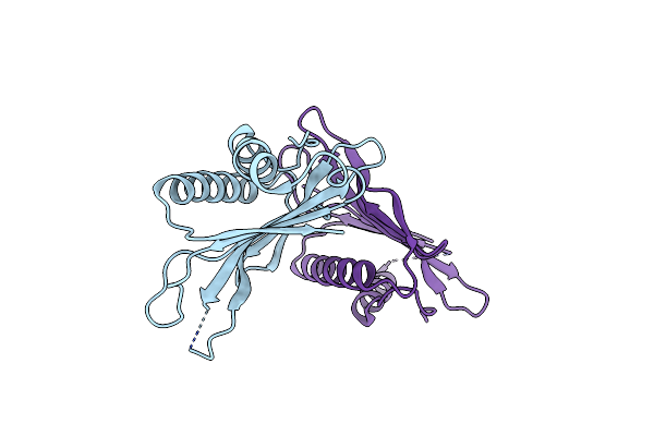 2W56 image
