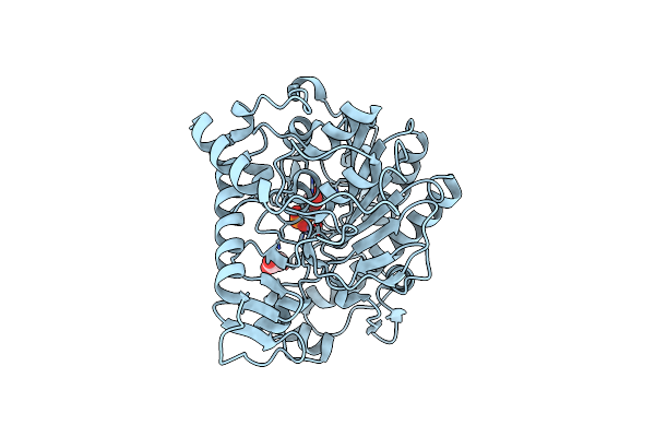 2W5R image