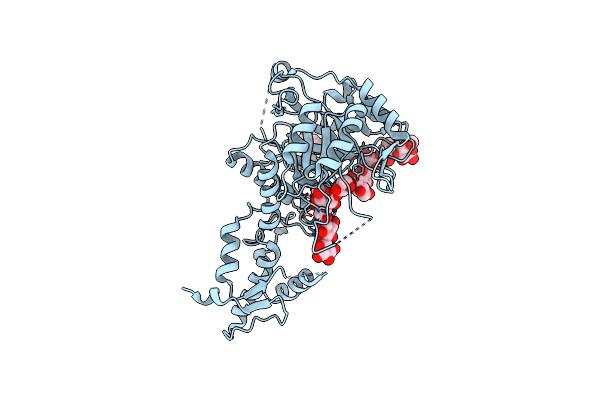 2W62 image