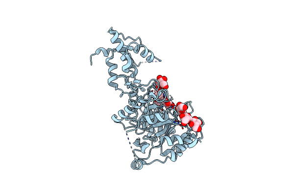 2W63 image