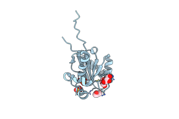 2W6K image