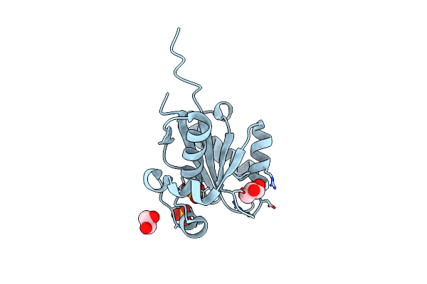 2W6L image