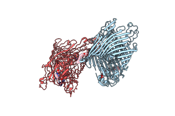 2W6T image