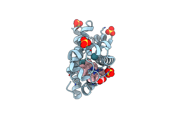 2W6W image