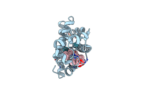 2W6X image