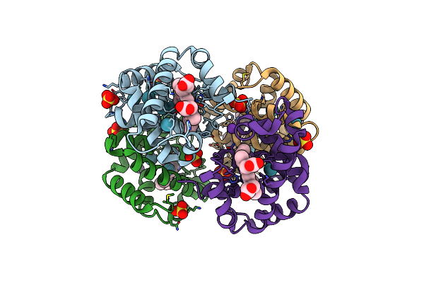 2W72 image