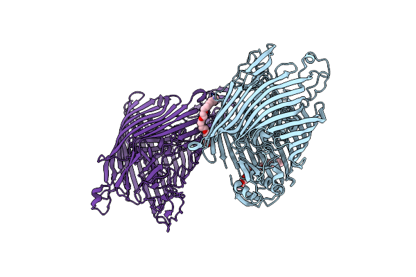 2W75 image