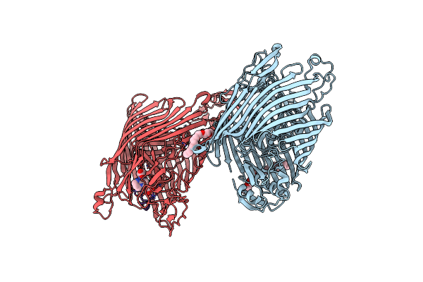 2W77 image