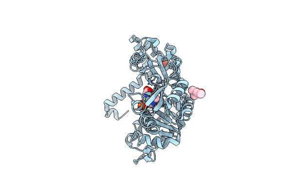 2W7H image