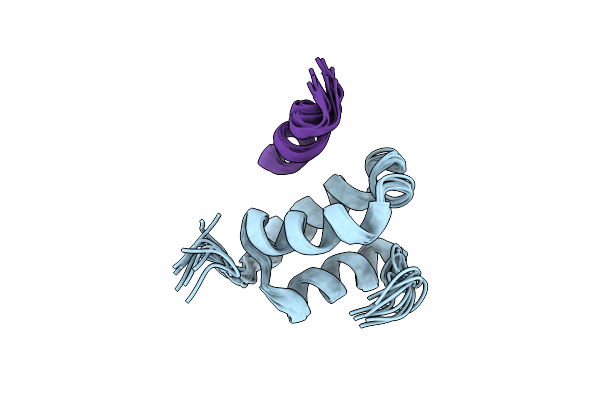 2W85 image