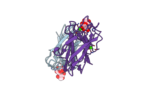 2W87 image