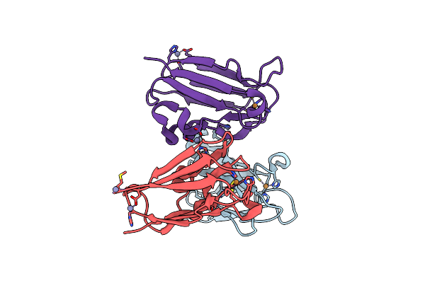 2W88 image