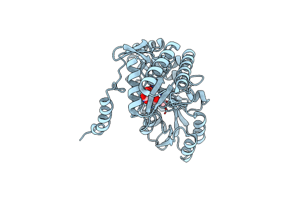 2W8J image