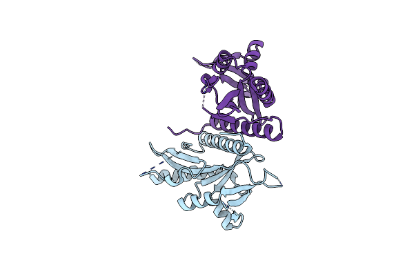2W8M image