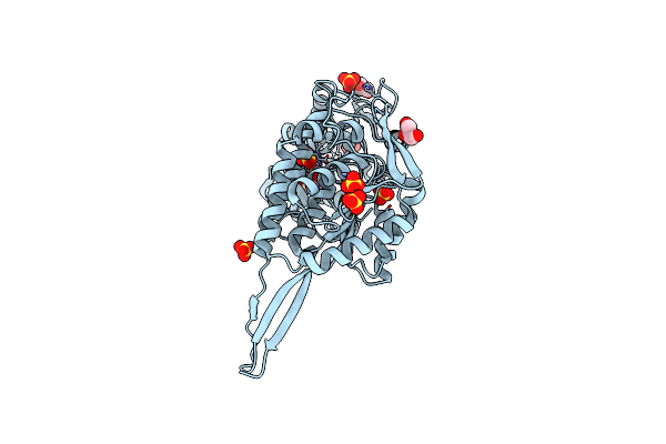 2W8P image