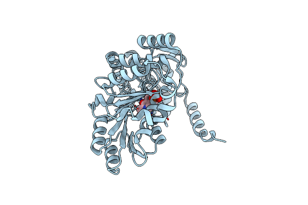 2W8U image
