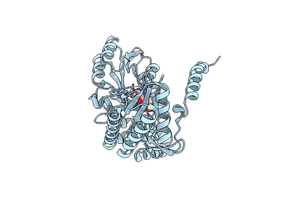 2W8V image
