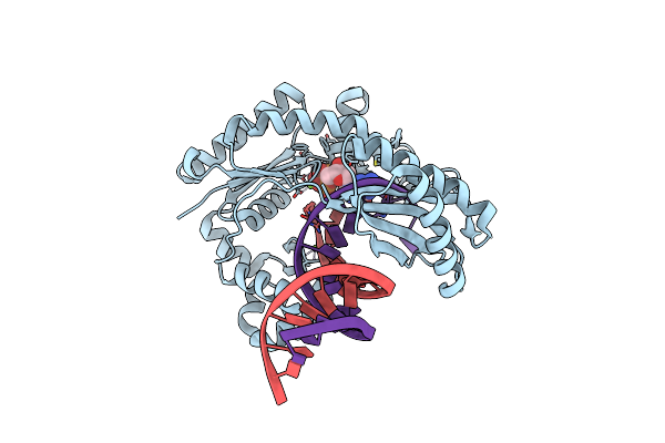 2W9A image