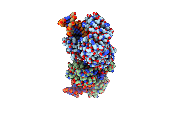 2W9C image