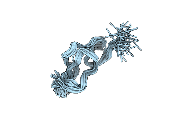 2W9W image