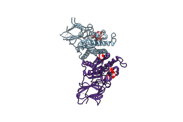 2W9X image