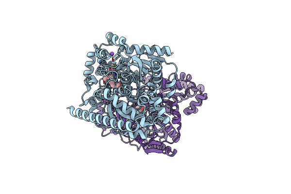2WAP image