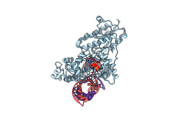 2WB2 image