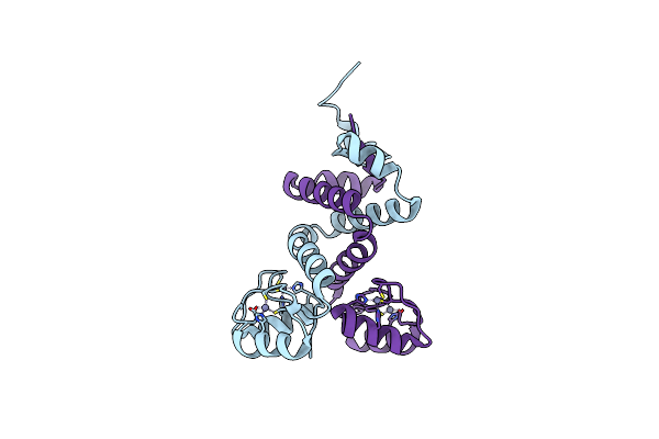 2WBT image