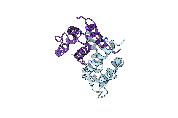 2WCB image