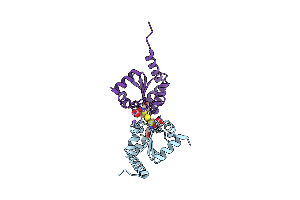 2WCI image