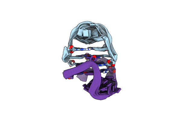 2WCN image